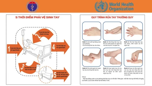 “Găng tay không thay được vệ sinh tay”. (Ảnh internet)