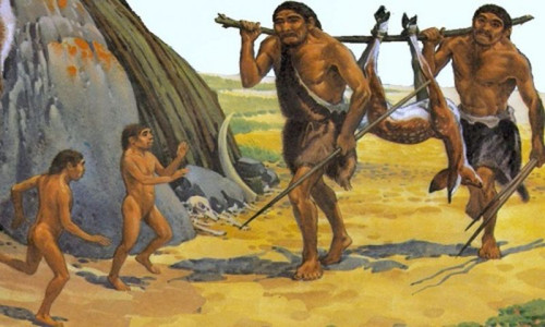 Văn Hóa Việt Nam: Hành Trình Lịch Sử và Bản Sắc Dân Tộc
