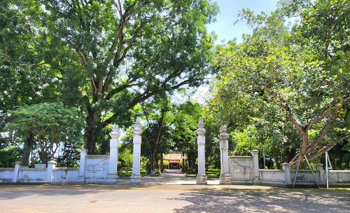 Tưởng nhớ anh hùng dân tộc Lê Hoàn tại Lễ hội đền vua Lê