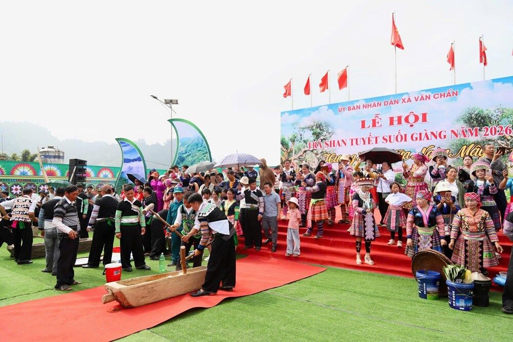 Suối Giàng mùa hội, lan tỏa hương trà Shan tuyết
